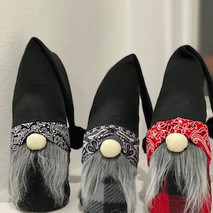 Cholo Gnomies