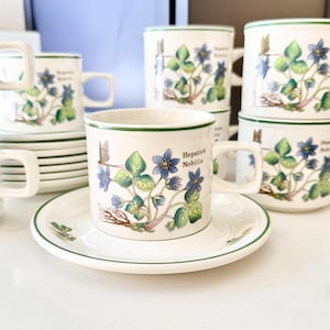 Może przedstawiać: Białe ceramiczne filiżanki i spodki z zielonym obramowaniem i kwiatowym wzorem. Wzór przedstawia niebieskie kwiaty i zielone liście z napisem "Hepatica Nobilis". Kilka filiżanek i spodków jest ułożonych w stosy.
