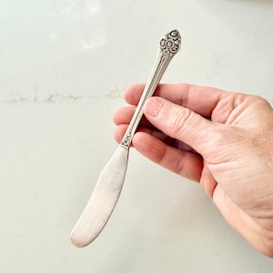 Vintage Oneida 1881 Rogers Plantation couteau à beurre en métal argenté