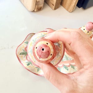 Pu&ograve; includere: Un set di saliera e pepiera in ceramica con un motivo floreale dipinto a mano nei toni del rosa, giallo e verde. I contenitori hanno una forma arrotondata con piccoli fori sulla parte superiore e sono disposti su un vassoio coordinato.
