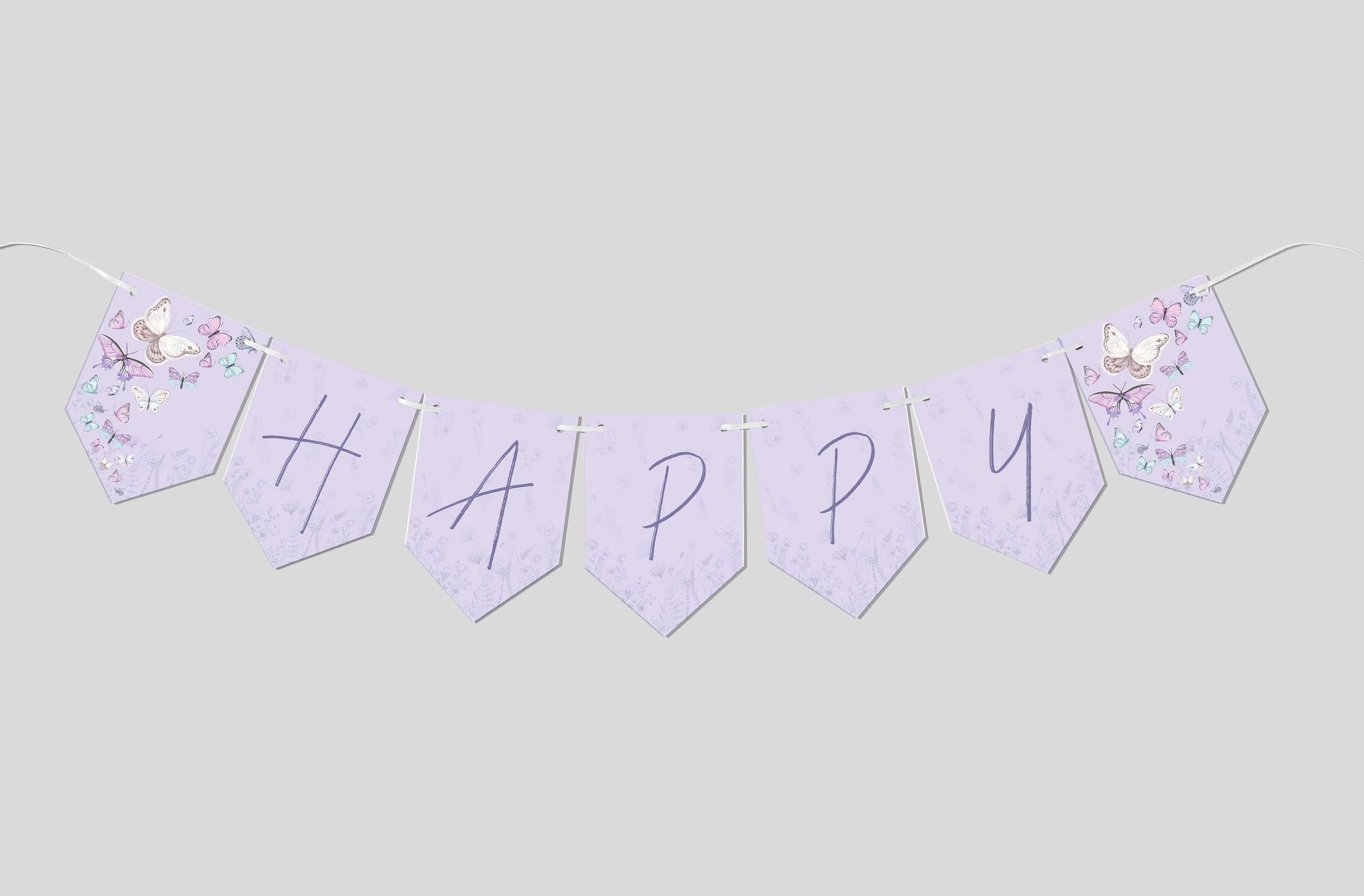 Butterfly Birthday Party Flag Banner Birthday Garland Butterflies Theme Printable Editable INSTANT DOWNLOAD