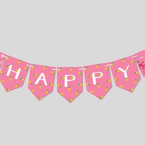 Flamingo Birthday Party Flag Banner, Birthday Garland, Let&#39;s Flamingle, Flamingo Birthday Theme, Printable, Editable, INSTANT DOWNLOAD