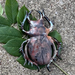 May include: A detailed beetle sculpture with a metallic finish in shades of brown, red, and silver. The sculpture rests on green leaves, set against a textured grey surface. The beetle's intricate details are highlighted, showcasing its form.