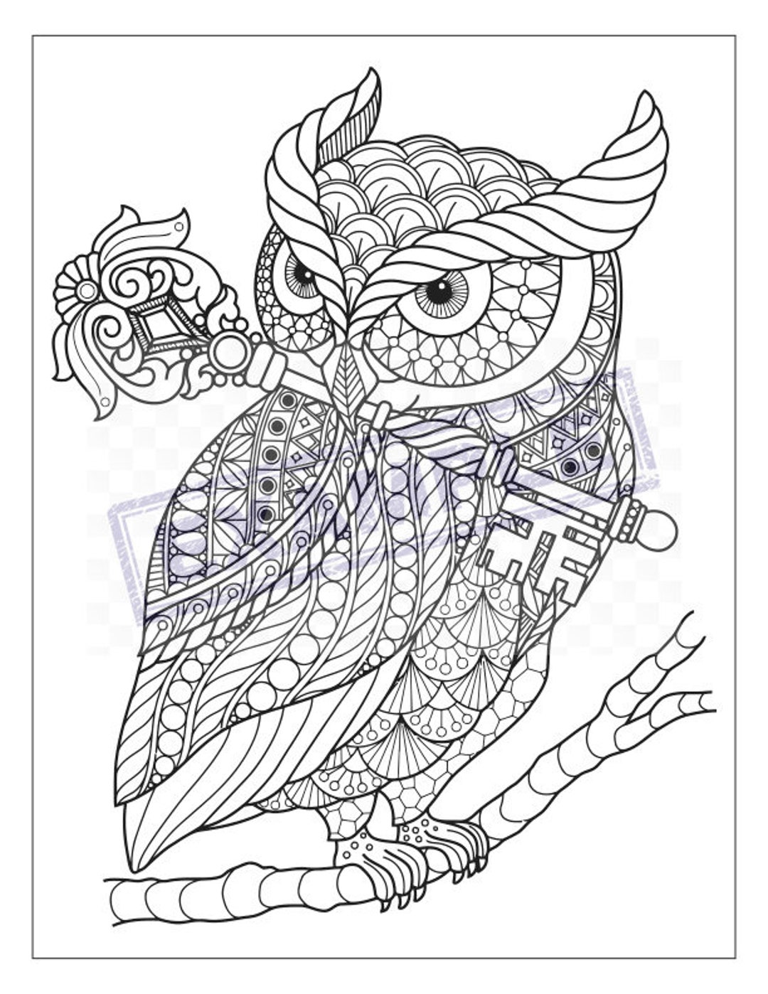 DDI 2345911 Patterns - Adult Coloring Book and Colored Pencil