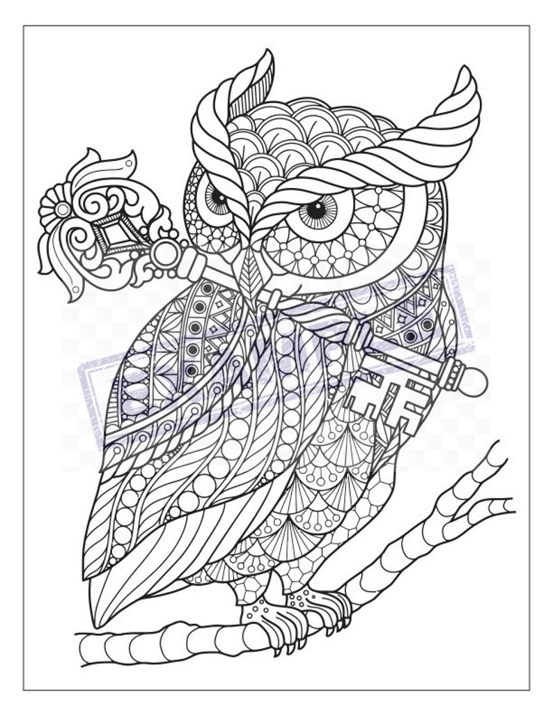Unique, Detailed Coloring Pages PDF, 21 full 8x11, great for kids, teens or adults image 1