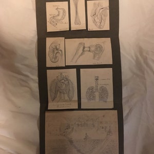 100年前のアーティスト、アルバ・マルムの科学の宿題がリストに掲載されています。絵も含まれており、他にはないアイテムで、彼女の才能を垣間見ることができます。