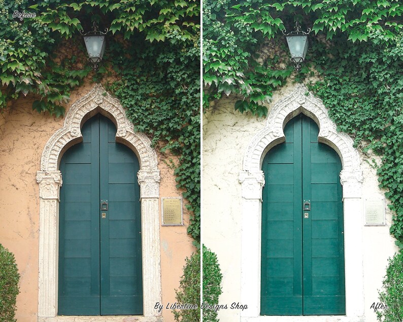 May include: A green double door with an arched entryway, surrounded by lush green ivy. The door is set in a white wall with a light fixture above.
