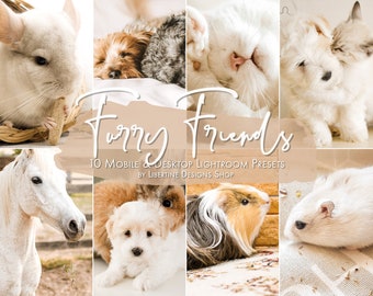 10 Pet Presets Lightroom | Cat Presets | Preset for Lightroom Mobile & Desktop | Lightroom Preset Pet aesthetic | Instagram | Cozy Preset