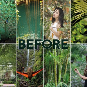 May include: A collage of images featuring various green foliage, a peacock, a woman in a white dress, a waterfall, a hammock, bamboo plants, and a woman standing in a field of tall grass. The word "BEFORE" is written in large, bold letters across the centre of the image.