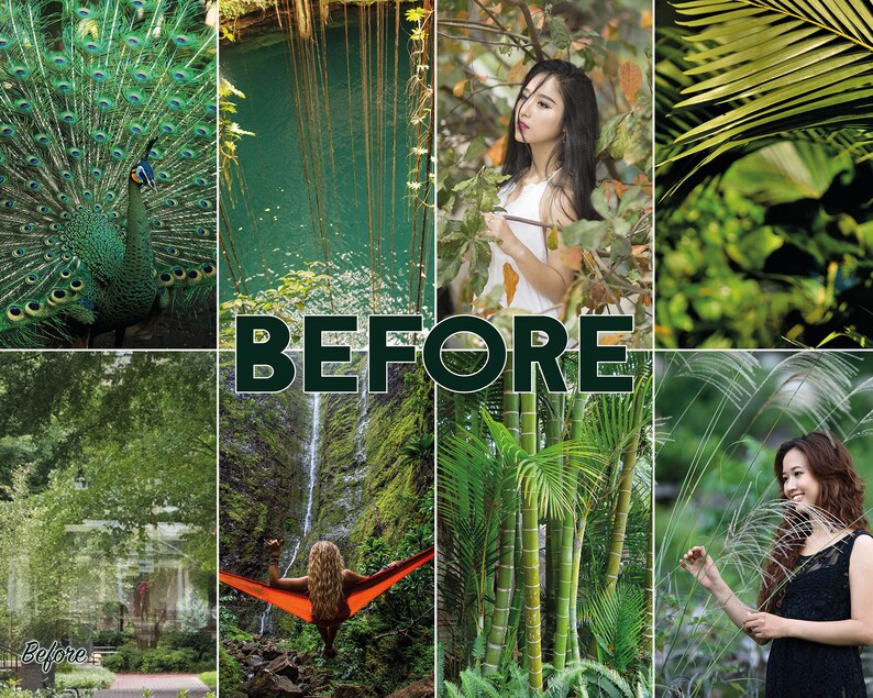 May include: A collage of images featuring various green foliage, a peacock, a woman in a white dress, a waterfall, a hammock, bamboo plants, and a woman standing in a field of tall grass. The word "BEFORE" is written in large, bold letters across the centre of the image.