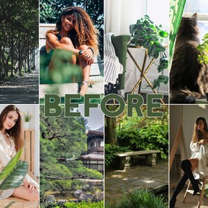 May include: A collage of images featuring various scenes, including a woman sitting on a bench, a cat looking out a window, a woman sitting on a chair, a woman sitting on a bench, a Japanese garden, and a green leafy plant.