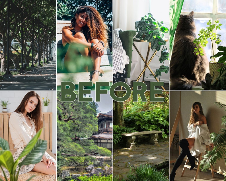 May include: A collage of images featuring various scenes, including a woman sitting on a bench, a cat looking out a window, a woman sitting on a chair, a woman sitting on a bench, a Japanese garden, and a green leafy plant.
