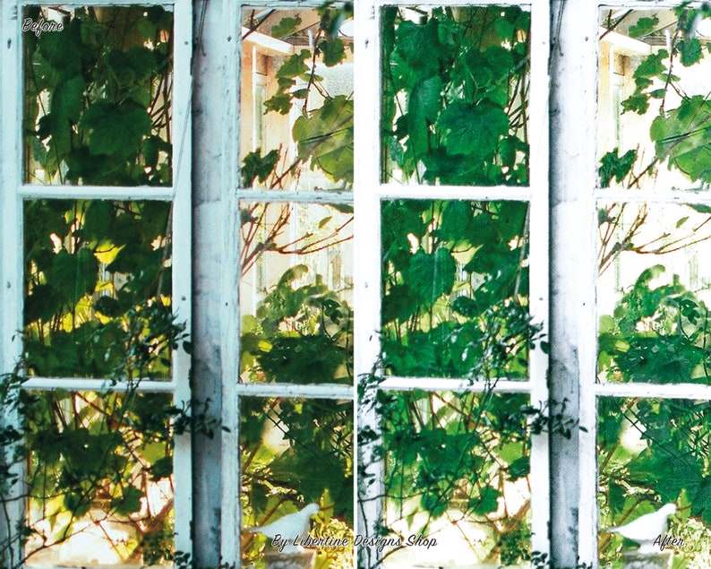 May include: A before and after image showing a window with white trim and green vines growing over it. The image on the left shows the vines with a blurry background. The image on the right shows the vines with a clear background. The text "By Libertine Designs Shop" is in the centre of the image.