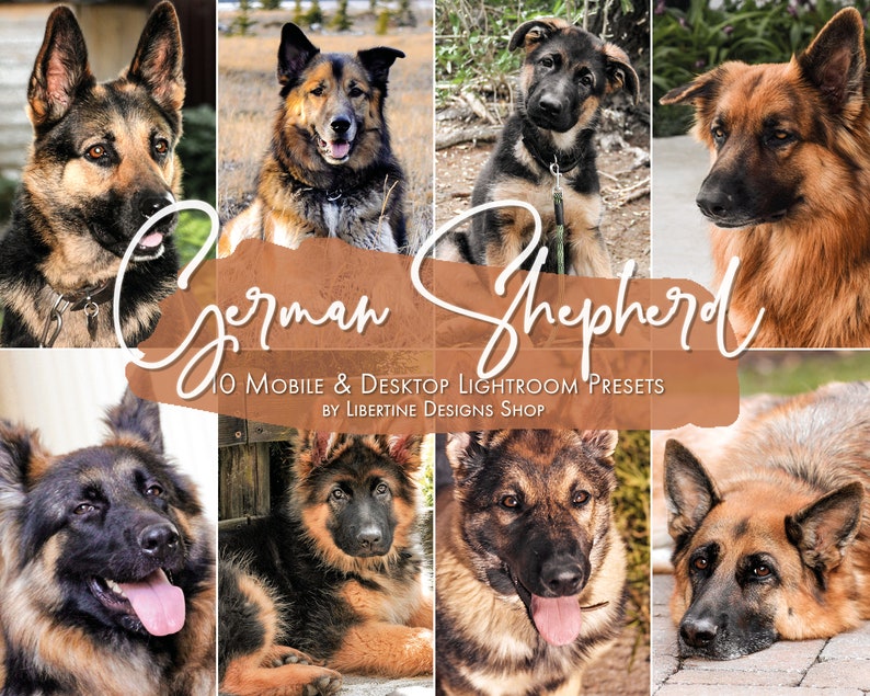 10 Dog Presets Lightroom Pet Presets German Shepherd Presets Presets for Lightroom Mobile & Desktop Preset aesthetic Instagram image 1