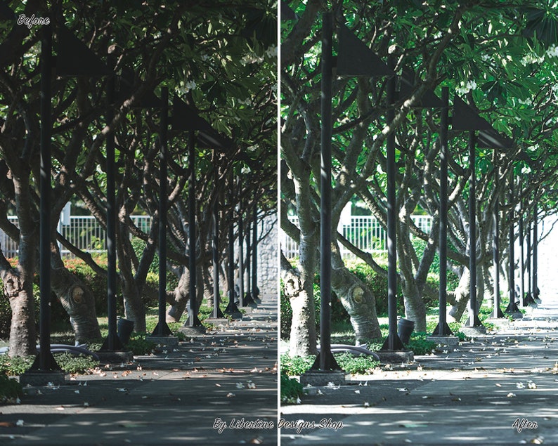 May include: A before and after image demonstrating the effect of a photo editing filter. The before image shows a path lined with trees, with the leaves appearing dark green. The after image shows the same path, but the leaves are a lighter shade of green, and the overall image is brighter.