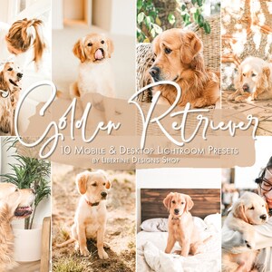 10 Dog Presets Lightroom Mobile & Desktop Presets | Golden Retriever Presets | Preset Pet Presets | Dogs aesthetic | Instagram Presets