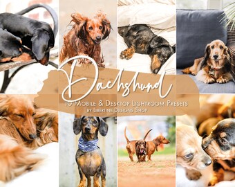 10 Dog Presets Lightroom Mobile & Desktop Presets | Dachshund Presets | Pet Presets | Lightroom Preset | Dogs aesthetic | Instagram Presets