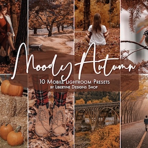 10 Moody Presets Lightroom Mobile | Fall Presets | Autumn Presets | Lightroom Presets | Lightroom Filters | Instagram Presets aesthetic