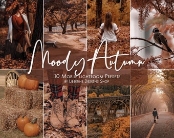 10 Moody Presets Lightroom Mobile | Herbst Presets | Lightroom Filter | Halloween Presets | Dark Presets moody aesthetic | Instagram Presets