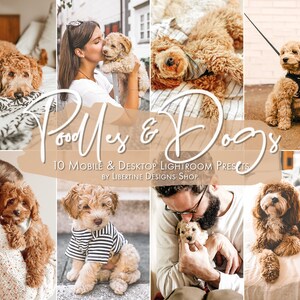 10 Dog Presets Lightroom Mobile & Desktop Presets | Poodle Presets | Pet Presets | Lightroom Preset | Dogs aesthetic | Instagram Presets