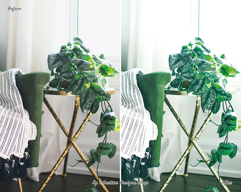 May include: A before and after image showing the difference in lighting and colour tone. The image shows a green chair with a white and black striped throw blanket, a gold metal side table with a potted plant with green and silver leaves, and a window in the background.