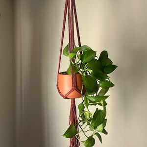 May include: A terracotta pot with a green plant hanging from a macrame plant hanger with a brown cord.