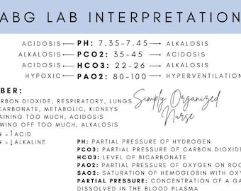 Nursing ABG Lab Study Guide