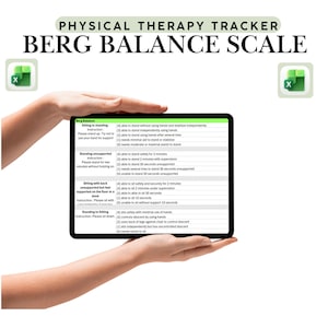 Balance tracker Berg Balance Scale Excel Template Fall Risk Assessment Digital