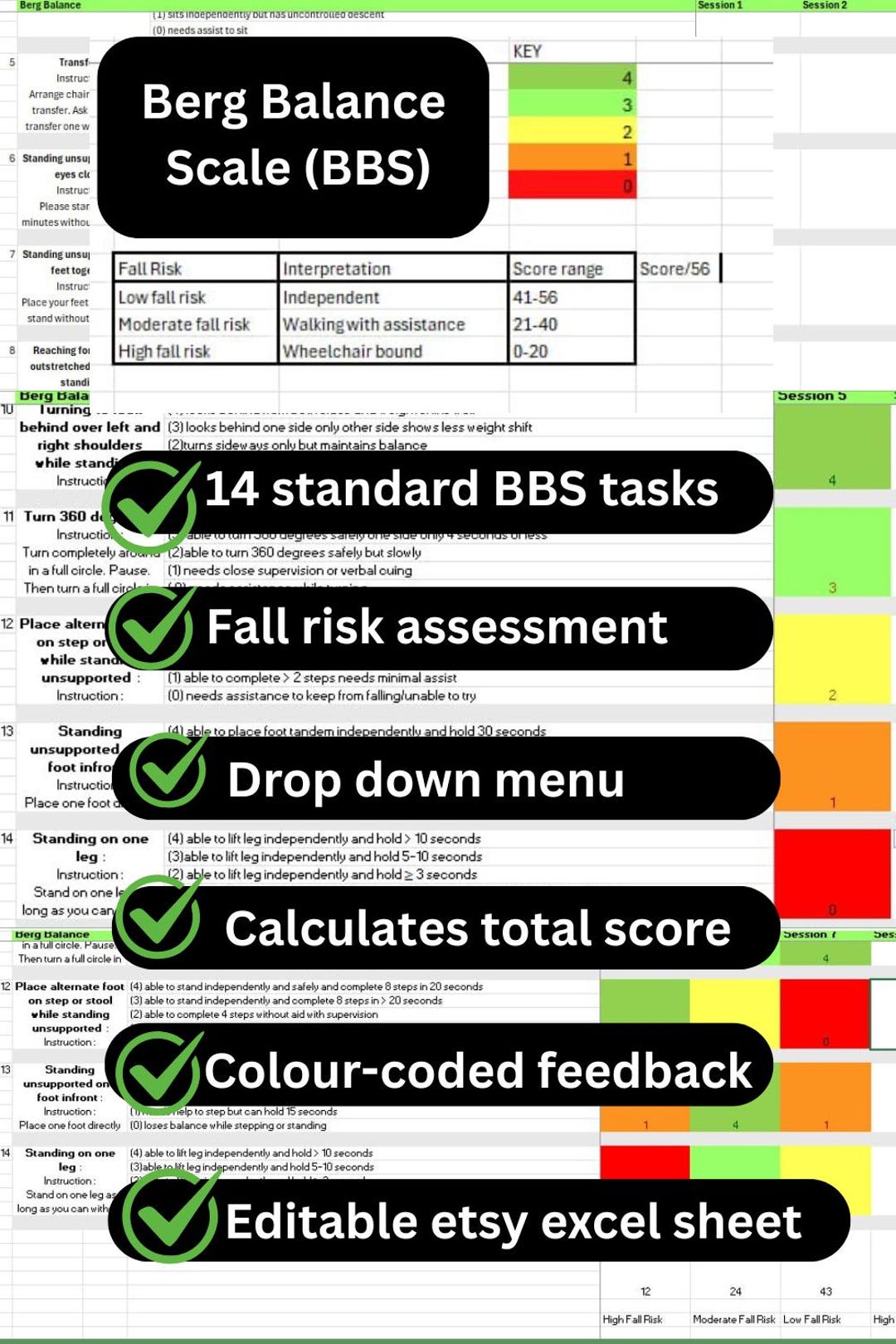 Berg Balance Scale Excel Template, Fall Risk Assessment (digital) - Etsy