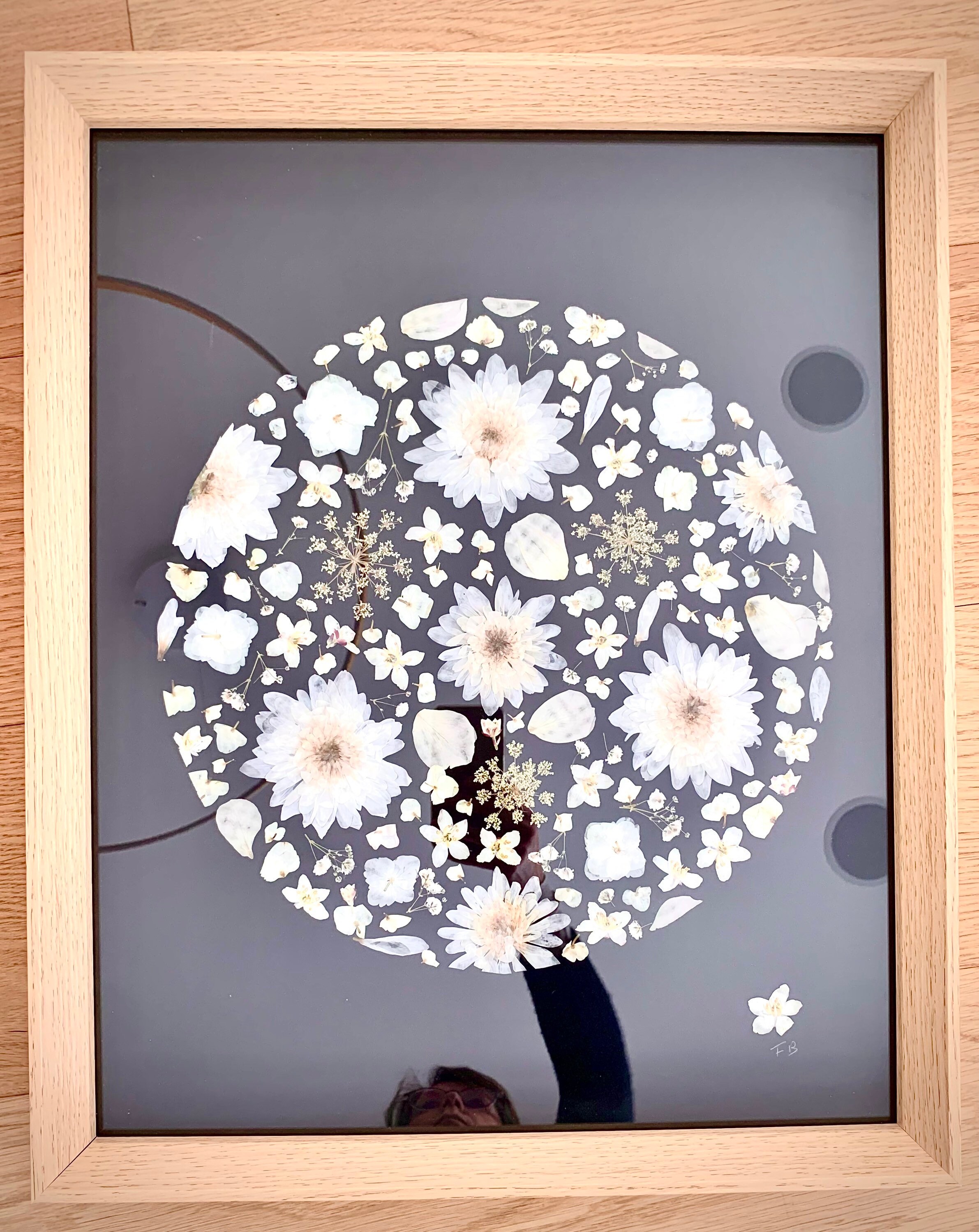 Herbier de Fleurs Séchées 42 53 cm/Herbarium Cadre Séchées