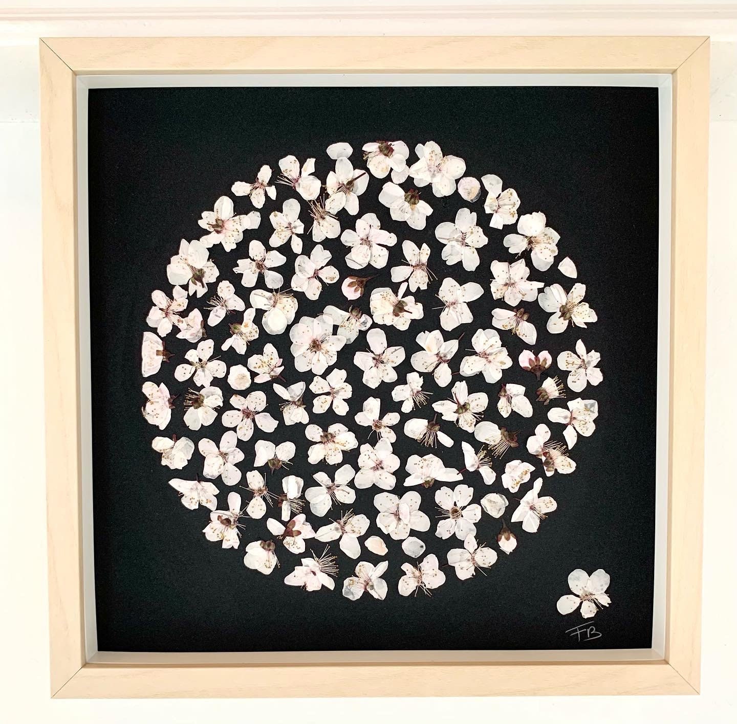 Herbier de Fleurs Séchées Petites Prunus