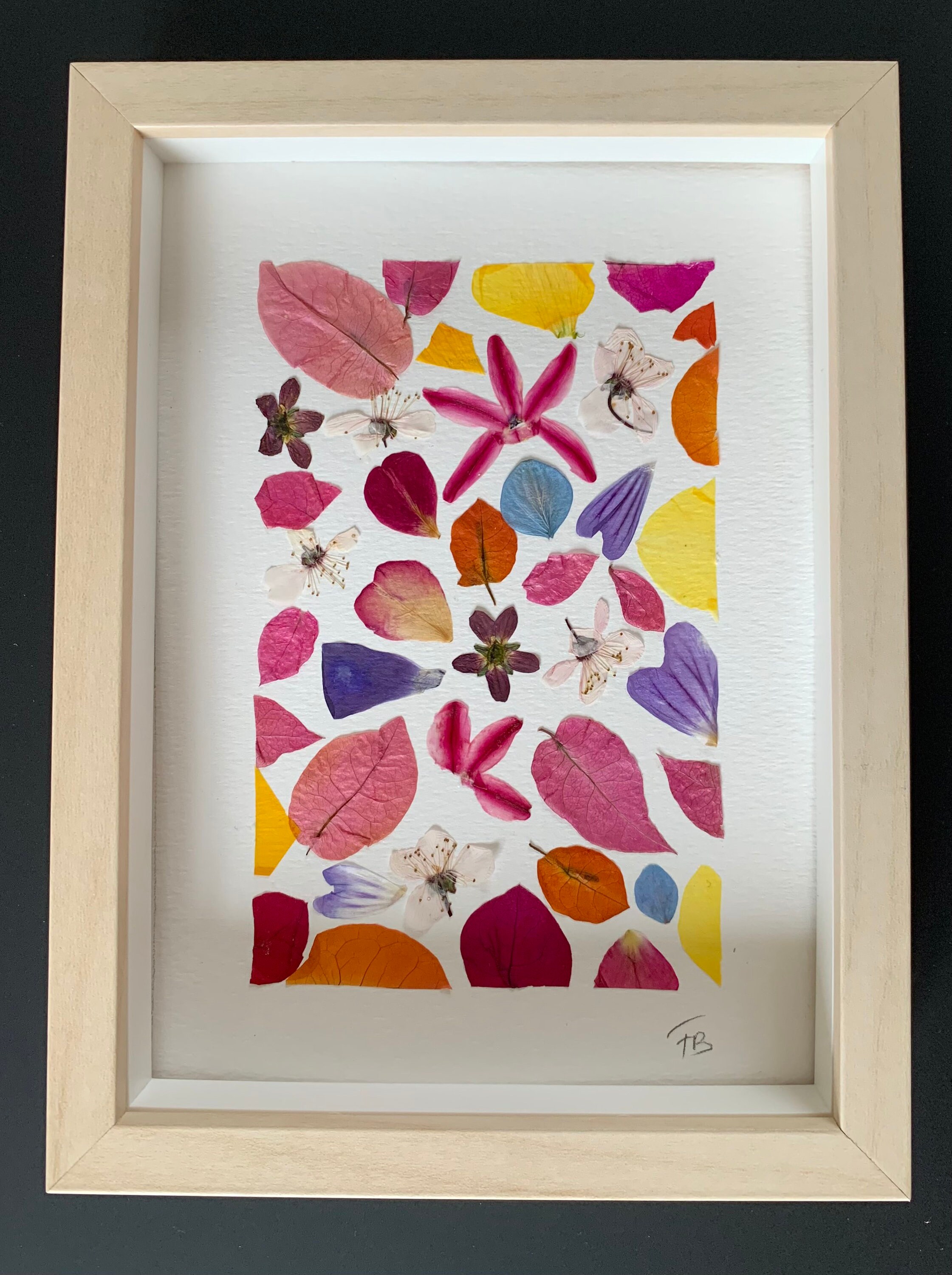 Herbier de Fleurs Séchées Multicolores