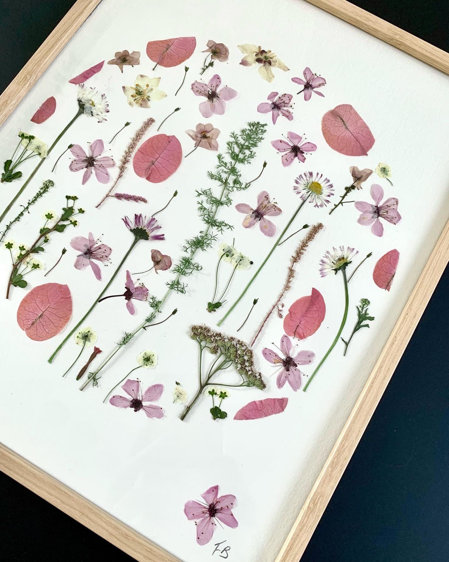 Herbier de Fleurs Séchées 2430 cm/Herbarium Cadre Pressées Herbier Encadré