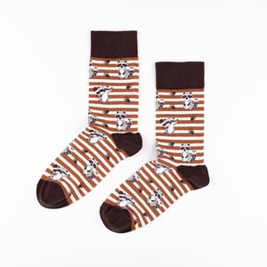 Raccoon socks, Raccoon gift, Madagascar socks, Animal socks, Gift for animal lover, Funny socks, Colorful socks, Unique socks, Novelty socks