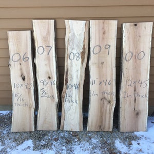 Live Edge Oak Slabs