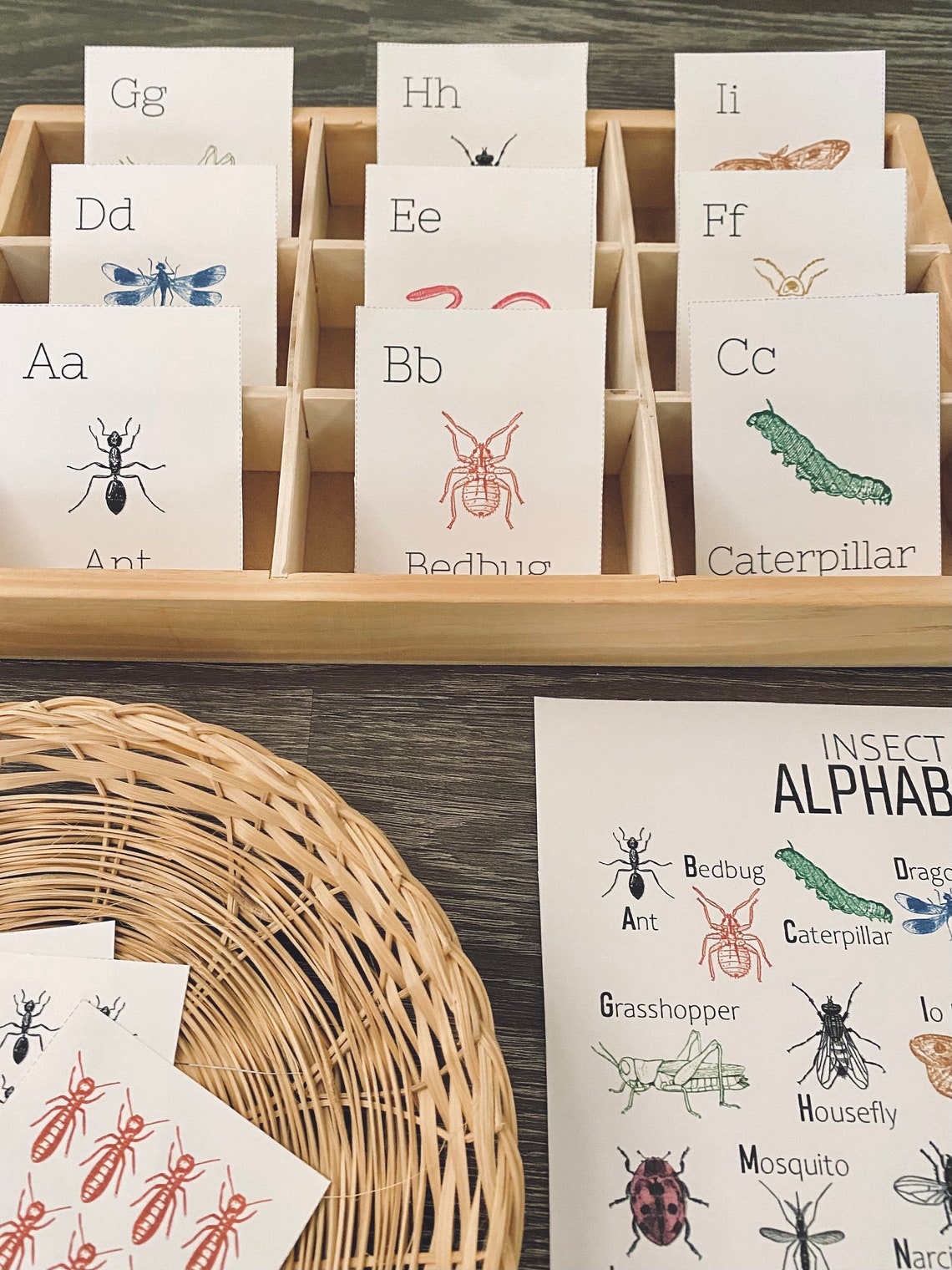 Bug Early Learning Bundle Unit Study for Ages 2-8 Nature Inspired Paly ...