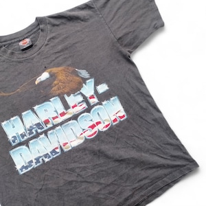 May include: A gray t-shirt with a faded Harley-Davidson logo featuring an eagle flying over an American flag design.