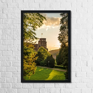 Heidelberg Poster Schloss im Grünen