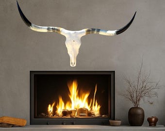 Real Texas Longhorn Steer Skull | Modern Western Decor Bar Art 863