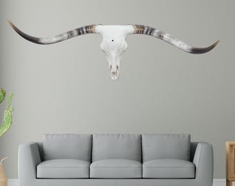 Authentic Longhorn Skull | Modern Contemporary Wall Art 819