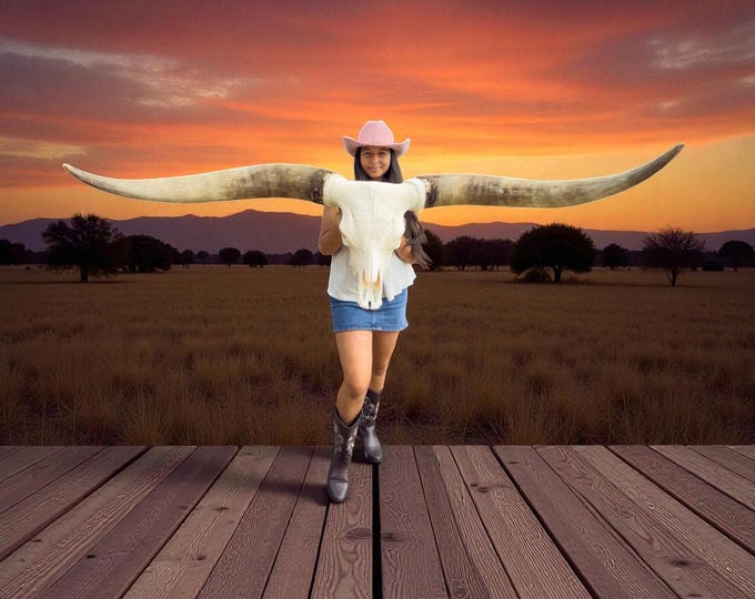 Featured listing image: Real Longhorn Skull | Bull Skull | Cowboy Man Cave Wall Art | Fireplace Decor 880