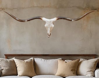 Authentic Longhorn Skull | Modern Rustic  Wall Art 854