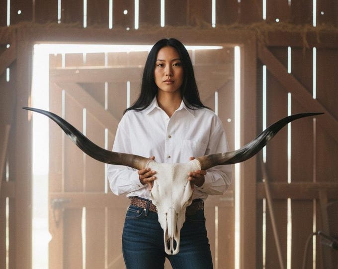 Featured listing image: Authentic Longhorn Skull Wall Art | Modern Contemporary | Modern Farmhouse Decor 886