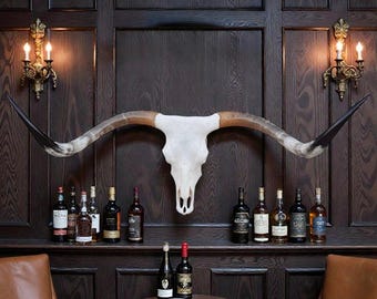 Authentic Longhorn Skull | Modern Western Cowboy Cowgirl Wall Art 896