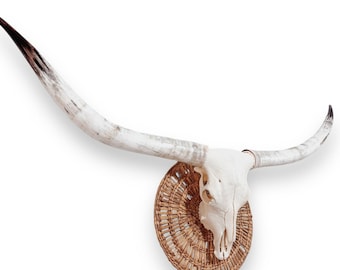 Longhorn Skull | Repurposed Art | Heirloom Western Decor 680