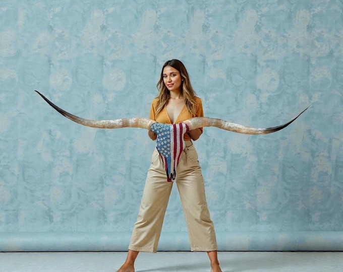 Featured listing image: Authentic Longhorn Skull Art | Patriotic Christmas Gift | American Spirit One of A Kind Heirloom 884