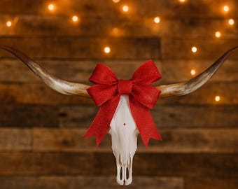 Longhorn Skull | Repurposed Art | Heirloom Western Decor 861