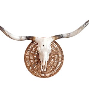 Longhorn Cow Skull | Modern Farmhouse | Repurposed Authentic Art 806