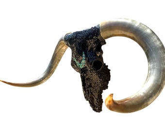 Glass Longhorn Skull | 102 inches total horn | Legacy Art Piece | One of a Kind 787