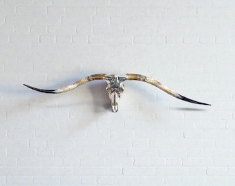 Pure Silver Collection